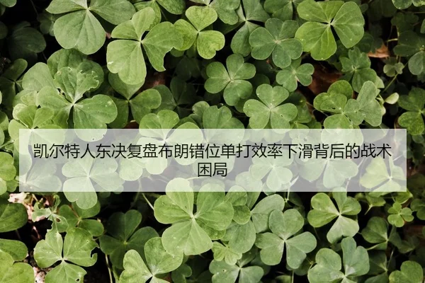 凯尔特人东决复盘布朗错位单打效率下滑背后的战术困局